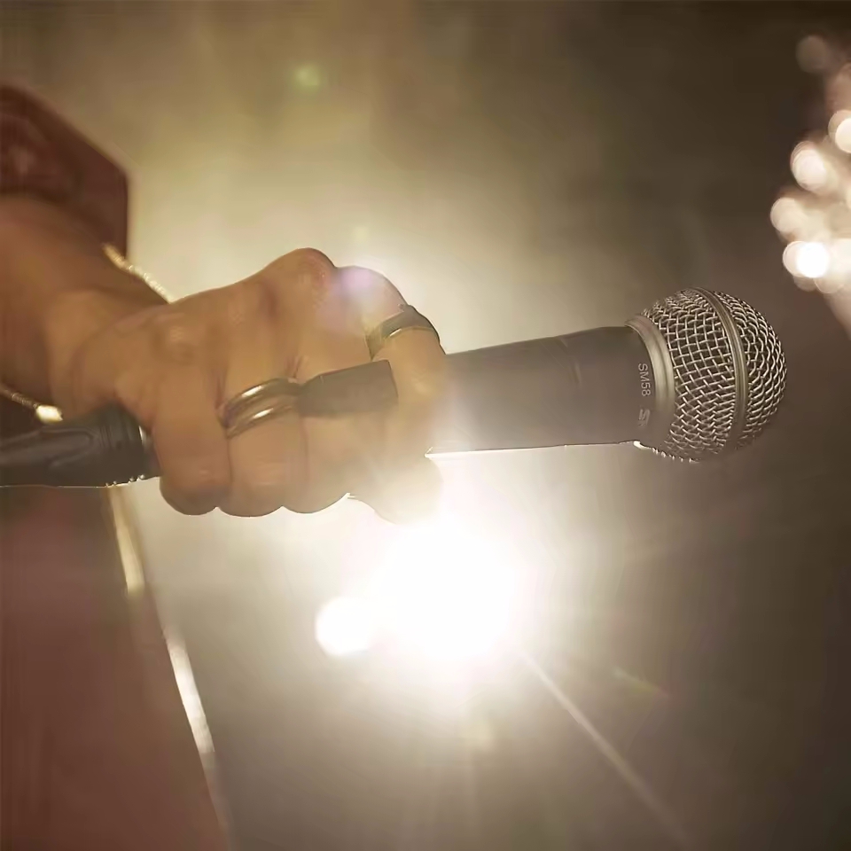 Karaoke Dynamic Microphone Pro - огляд і ціна Gaming Console Sale